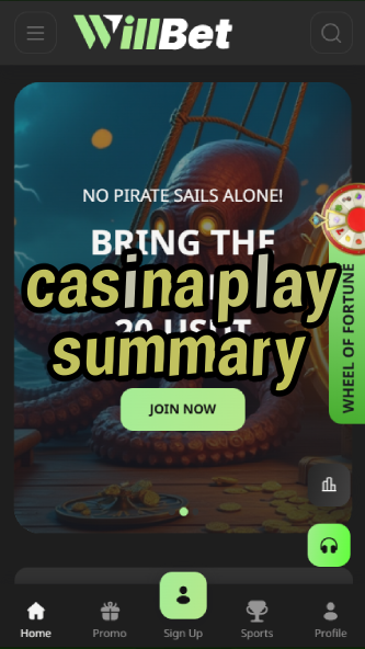 casina play summary-asdasdzhjkds.com